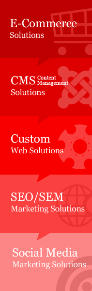 Web Solutions Sri Lanka